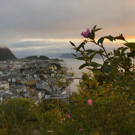 View Lejlighed *